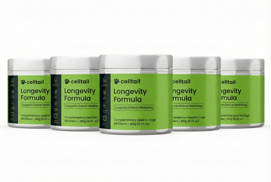 LONGEVITY COMPLEX 5 PACKS