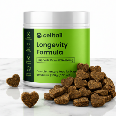 Longevity Complex Soft Chews – Joint, Gut & Immune Support for Dogs