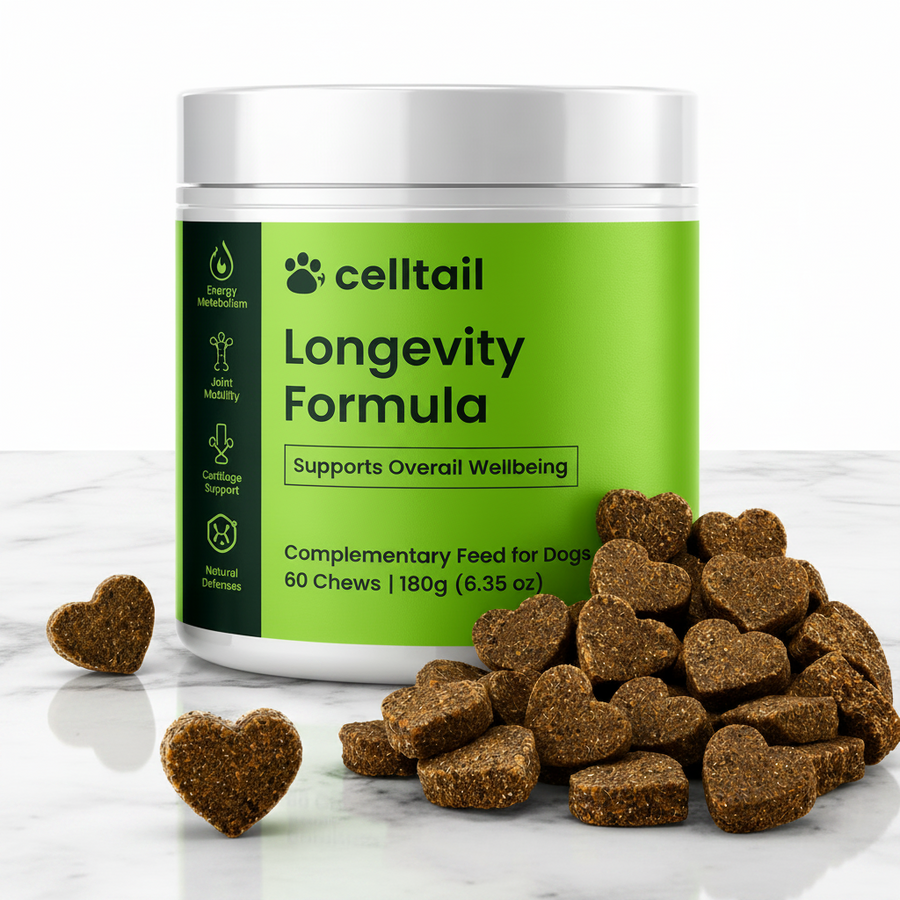 Longevity Complex Soft Chews – Joint, Gut & Immune Support for Dogs