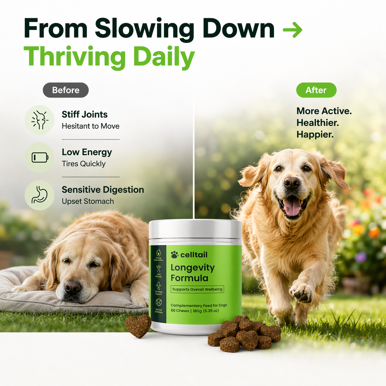 Longevity Complex Soft Chews – Joint, Gut & Immune Support for Dogs
