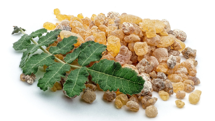 Boswellia serrata Extract