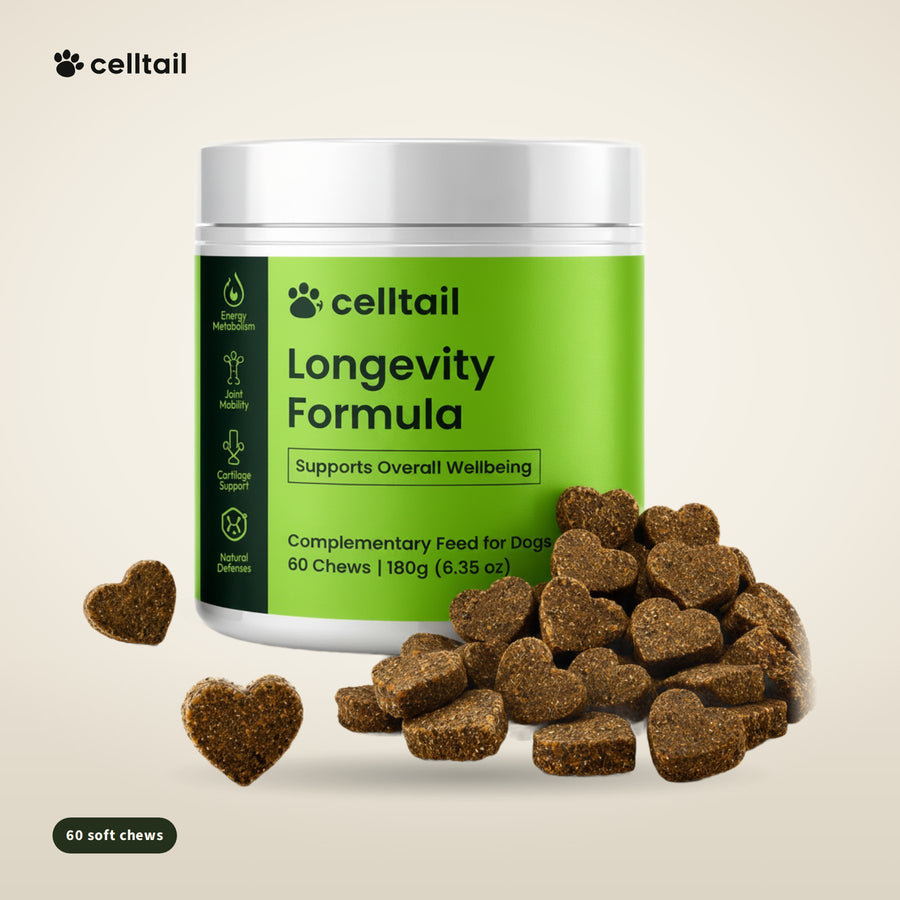 Longevity Complex Soft Chews – Joint, Gut & Immune Support for Dogs